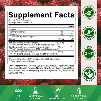 Irish Sea Moss Gummies - 3000 Mg - 60 Vegan Gummies - Made with Bladderwrack & Burdock Root - Seamoss Supplement for Thyroid, Energy, Immune Support